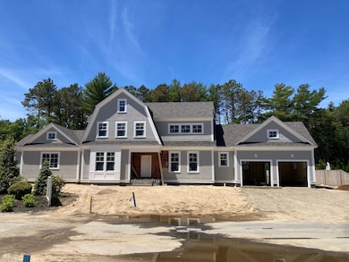 6 Willow front