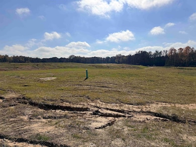 LOT 105 Russell Creek Cir, Piperton, TN 38017 - photo 5