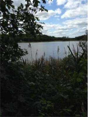 39 Rosepoint Ave, West Wareham, MA 02576 - photo 3