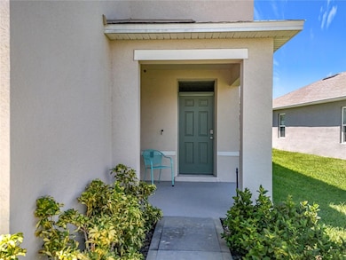 3013 Tansy St, Eustis, FL 32726 - photo 4