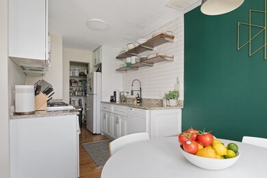 66 St James St unit 208, Boston, MA 02119 - photo 7