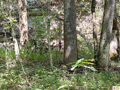 4.18 AC Cape Rd, Jamestown, KY 42629 - photo 6