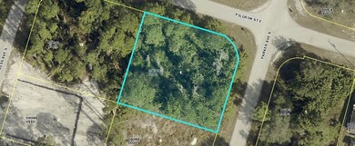 566 Parker Ave S, Lehigh Acres, FL 33974 - photo 7