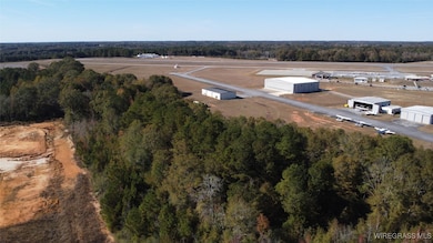 2318 County Road 622, Enterprise, AL 36330 - photo 7