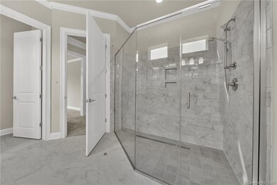 Standard Walk-In Shower (optional tile on the floo