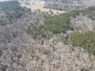 1430 Cleveland Farms Rd, Locust Grove, GA 30248 - photo 7