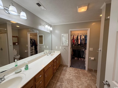Bathroom featuring double vanity, a spacious closet, toilet, a textured ceiling, and crown molding