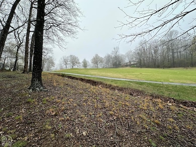 0 Oho Dr, Cherokee Village, AR 72529 - photo 3