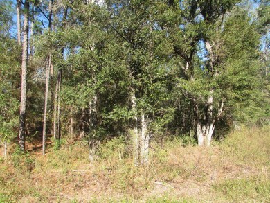 0 SW 69th Place unit MFROM548042, Dunnellon, FL 34431 - photo 3