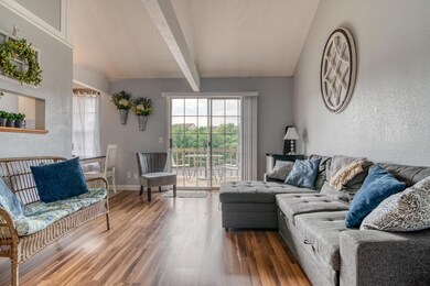 Living Room From Entry