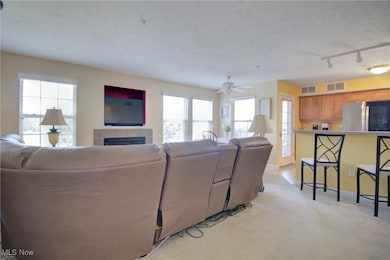 23004 Chandlers Ln unit 4-229, Olmsted Falls, OH 44138 - photo 6