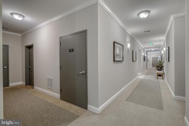 510 Quarry View Ct unit 105, Reisterstown, MD 21136 - photo 4