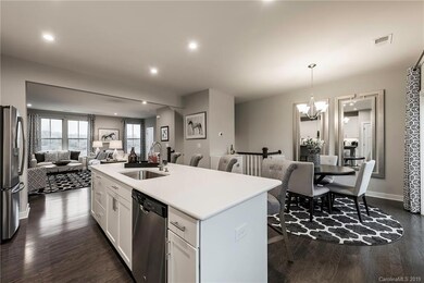 0 Bark Branch Ln unit 1017B 3473441, Charlotte, NC 28205 - photo 4