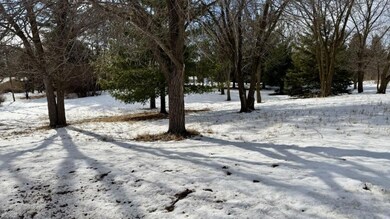 TBD1 Central Ave S, Park Rapids, MN 56470 - photo 4