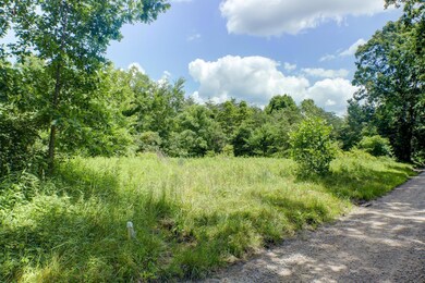 Wooded lot