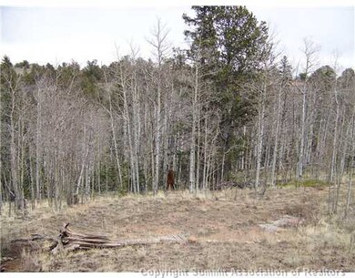 Land/Lot.