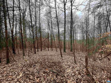 TBD Patrick Henry Hwy, Roseland, VA 22967 - photo 7