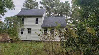 Back view