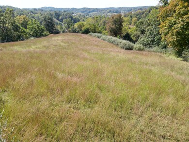 3514 Charleston Rd, Gandeeville, WV 25243 - photo 5