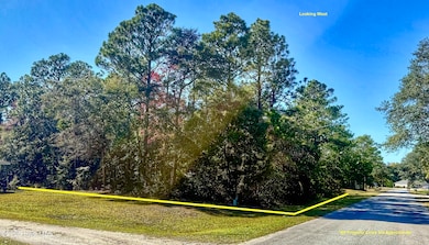 Lot 15 Phillips Dr, Minnesott Beach, NC 28510 - photo 2