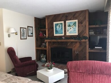 27 Nature Trail Rd unit 206, Richmond, VT 05477 - photo 4