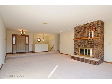 9308 Curtis Ln, Naperville, IL 60564 - photo 7