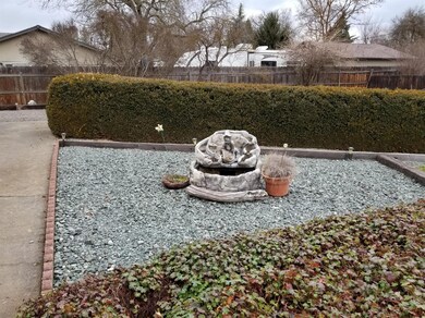 3290 Edella St, Central Point, OR 97502 - photo 6