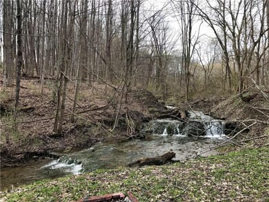 Creek behind the property