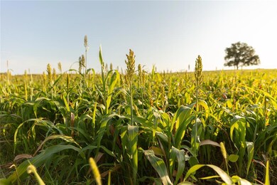 000 E 2020 Rd, Ringling, OK 73456 - photo 6