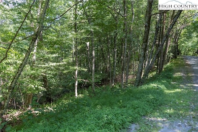 1 Wyeth Dr, Blowing Rock, NC 28605 - photo 4