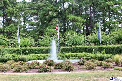 2400 McDonald Blvd, Florence, SC 29506 - photo 4