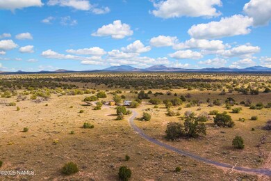 3097 N Peak View Rd unit Lot A, Williams, AZ 86046 - photo 6