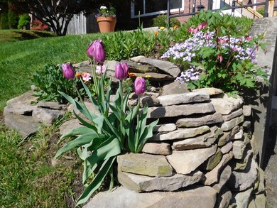 51 Portland St, Holyoke, MA 01040 - photo 3