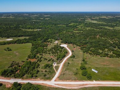 Drone / aerial view of a forest