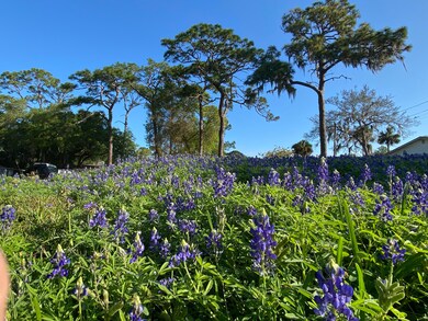0000 Unknown Ave, Titusville, FL 32796 - photo 6
