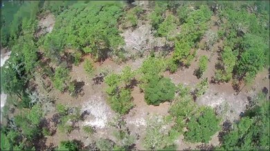 0000 SW Bonable Dr, Dunnellon, FL 34431 - photo 5