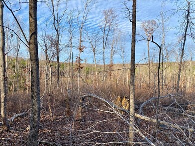 0 Pine Hill Rd, Asheboro, NC 27205 - photo 5