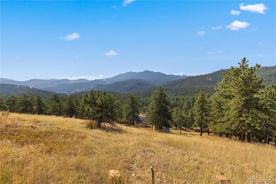 27873 Meadow View Dr, Evergreen, CO 80439 - photo 6