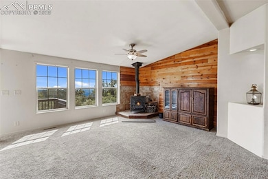 771 Moffat Dr, Cripple Creek, CO 80813 - photo 5