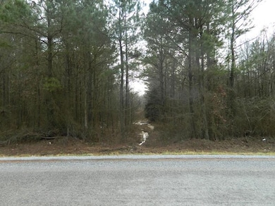 Woods Road