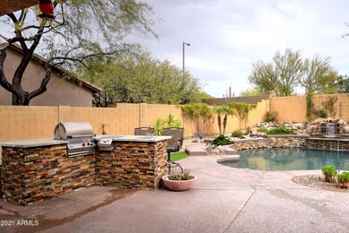 Backyard 1