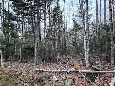 20251023_175418_result