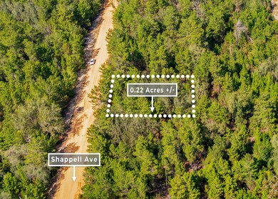 0 Shappell Ave unit 25253026, Interlachen, FL 32148 - photo 7