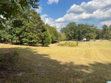 6809 Lou George Loop, Bessemer, AL 35022 - photo 4