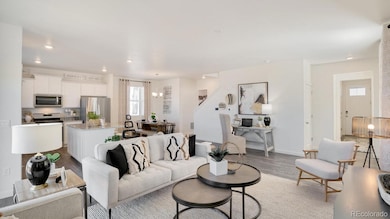 1073 Brink St, Brighton, CO 80603 - photo 6