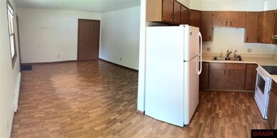 102 Hubbell Ave, Mankato, MN 56001 - photo 4