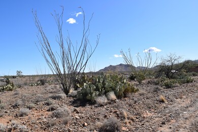 DSC_0302 (2)