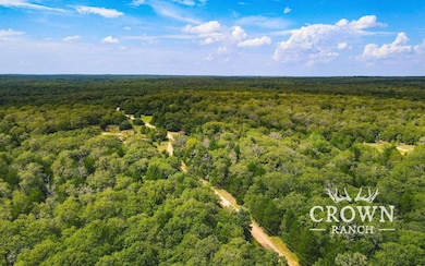 Tbd Fm 908 (+ -1 unit 57 acres, Caldwell, TX 77836 - photo 7