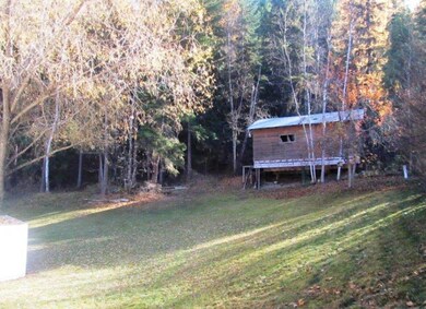 Yard and Shed
