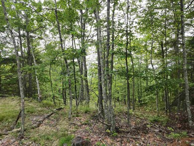 00 Monroe Rd unit 19, Bath, NH 03740 - photo 3